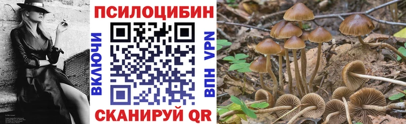 MEGA ССЫЛКА  Ачхой-Мартан  Галлюциногенные грибы ЛСД  купить наркоту 