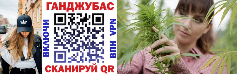 Бошки Шишки гибрид Ачхой-Мартан